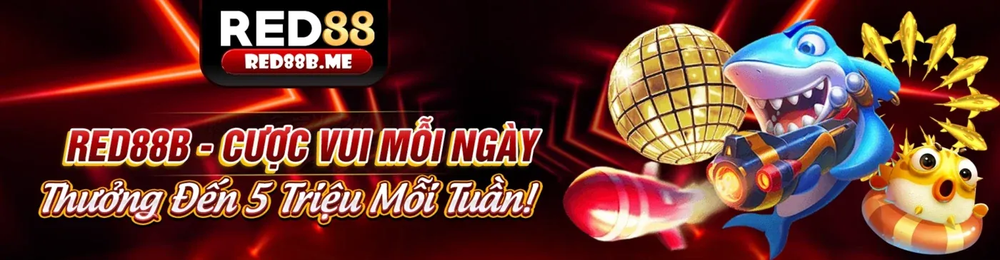 Hình ảnh đại diện Điều Khoản và Điều Kiện của vi88 chính thức