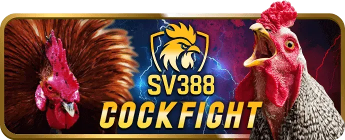 Hướng Dẫn
